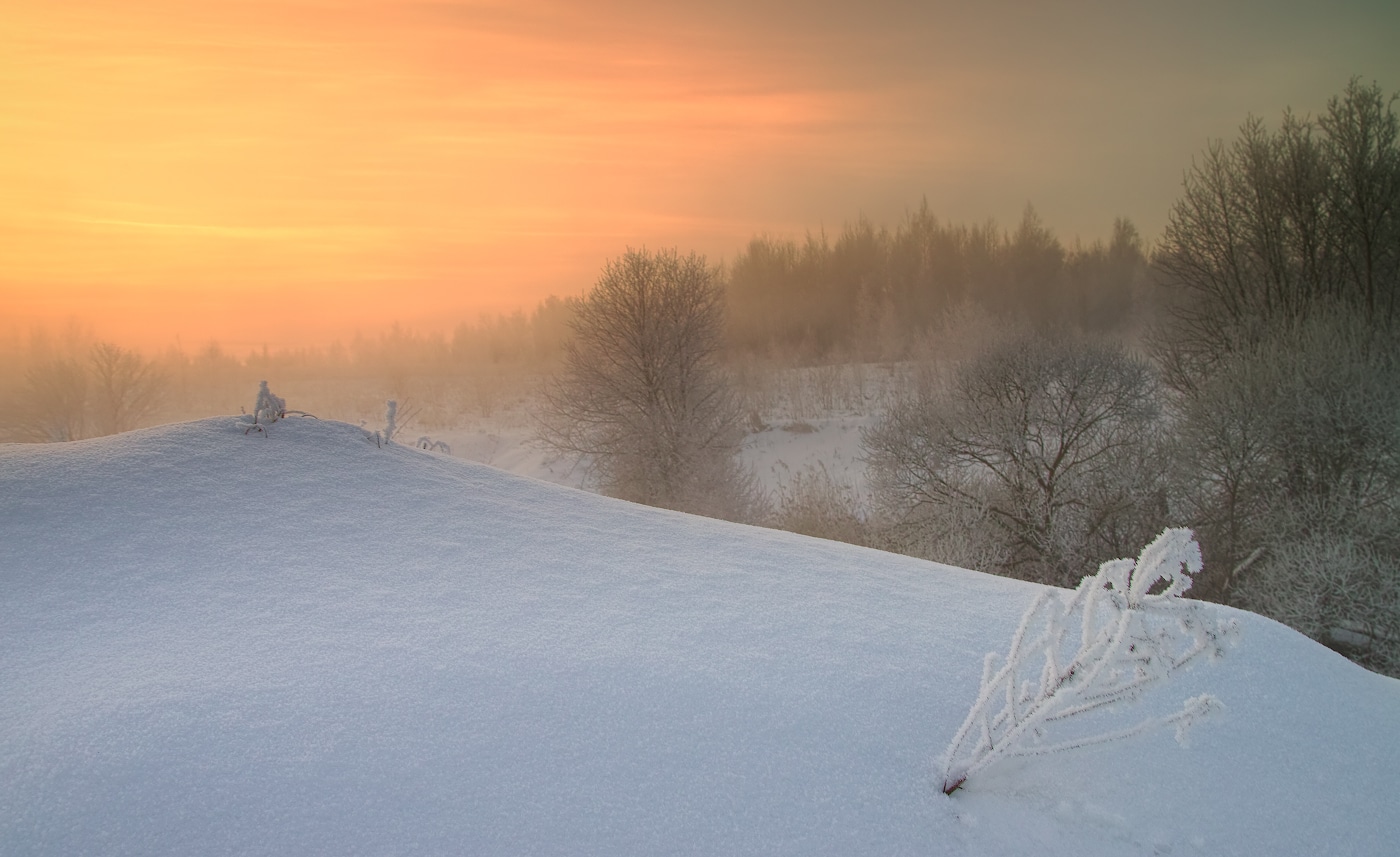 Перо зимней жар-птицы