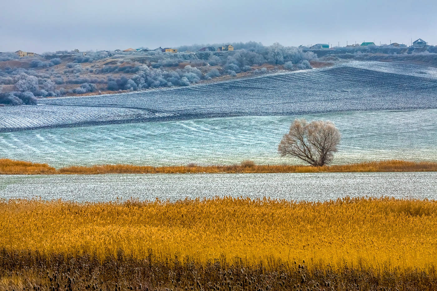 Живопись полей - зима