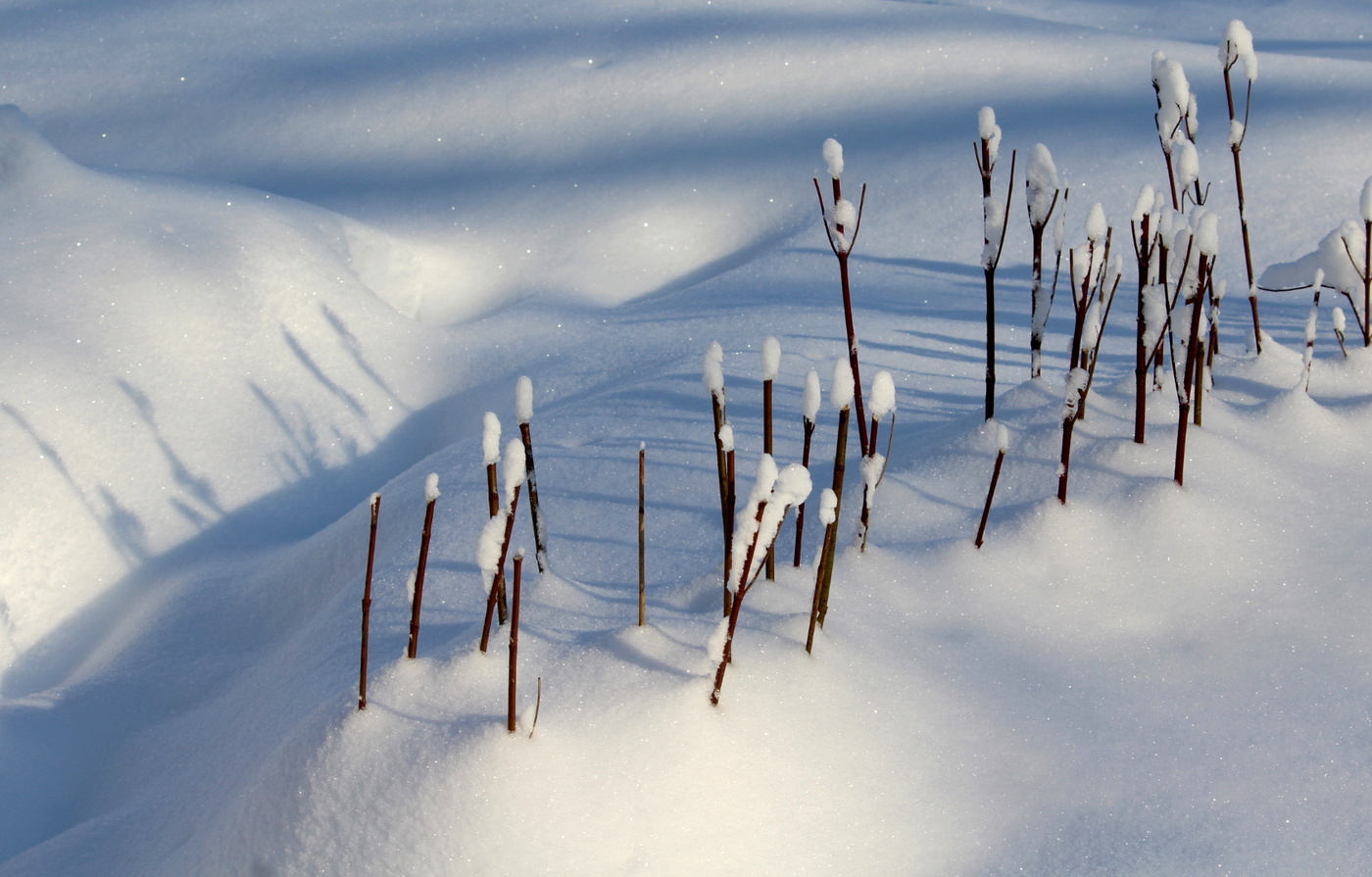 Все покрыто снегом