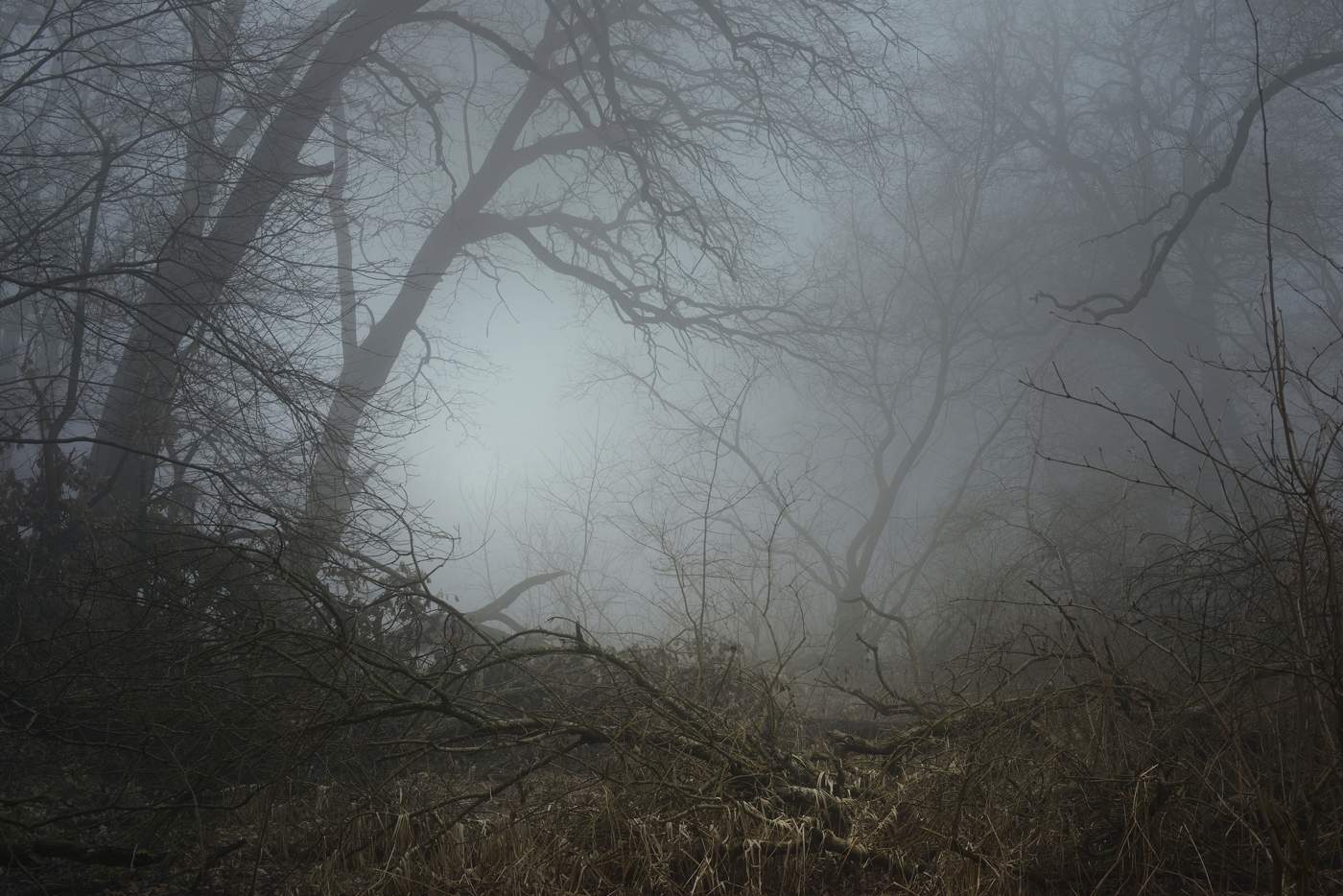 Туманое утро