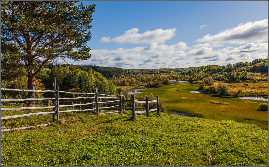 Золотится осень, золотится.