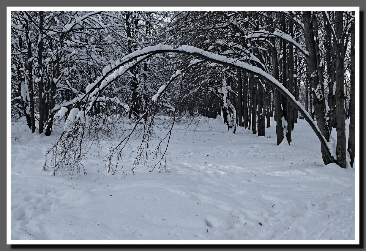 Зимний этюд