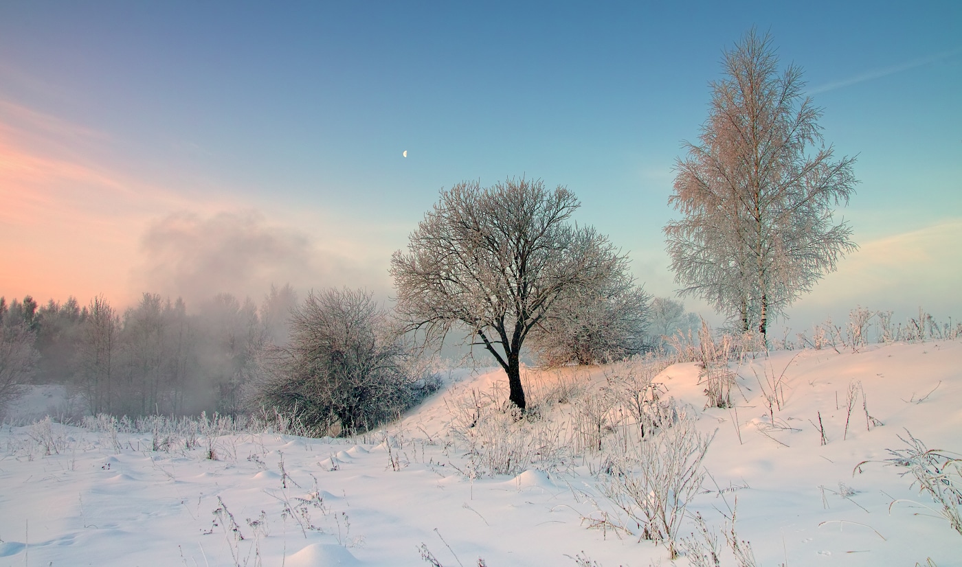 Зимние красавицы