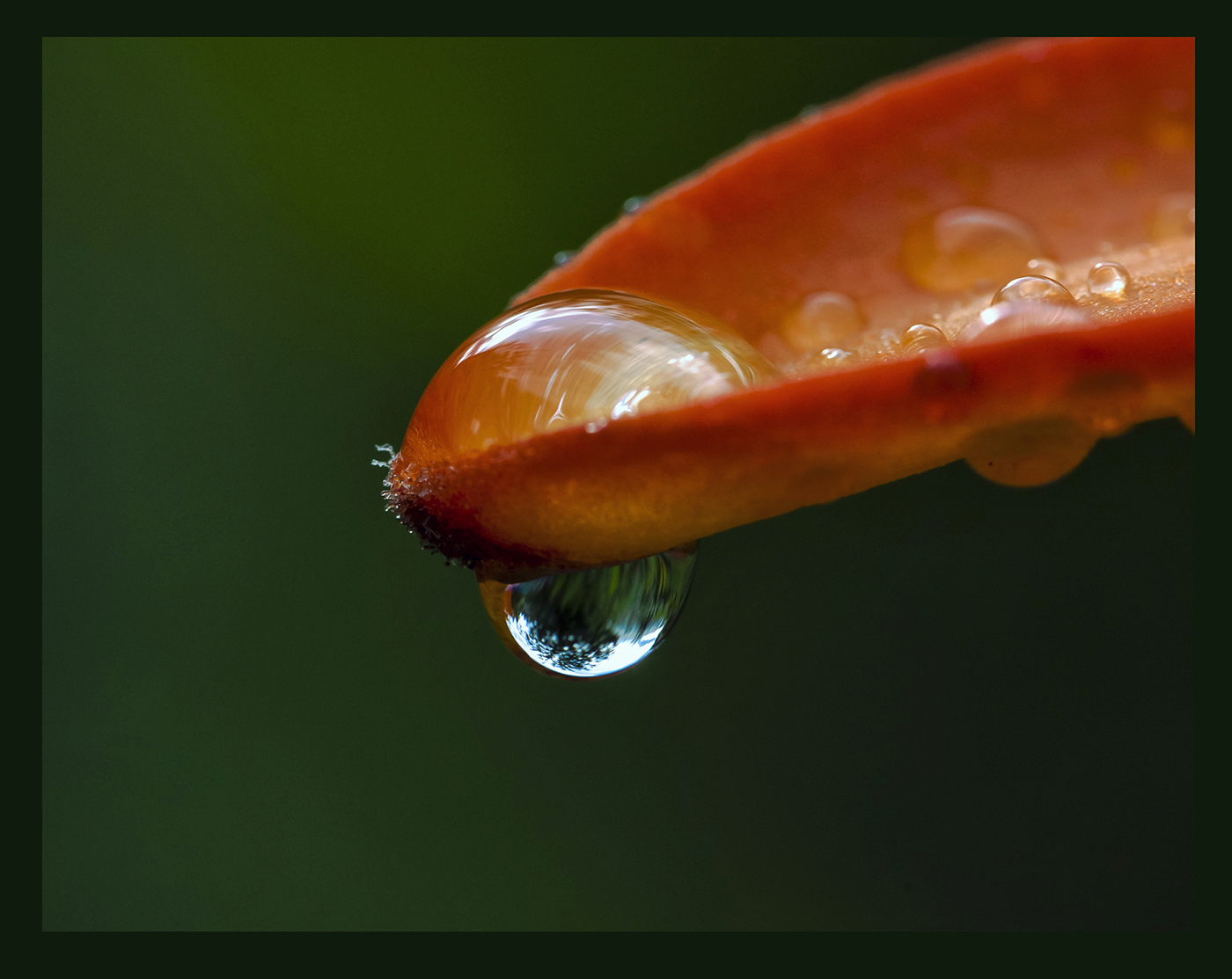 О дожде по-крупному.