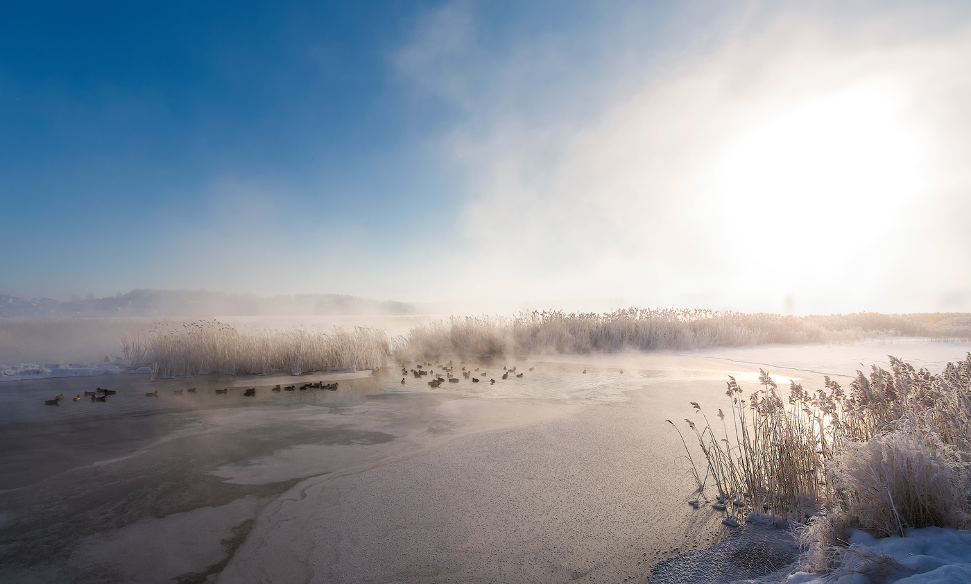 В поисках чистой воды