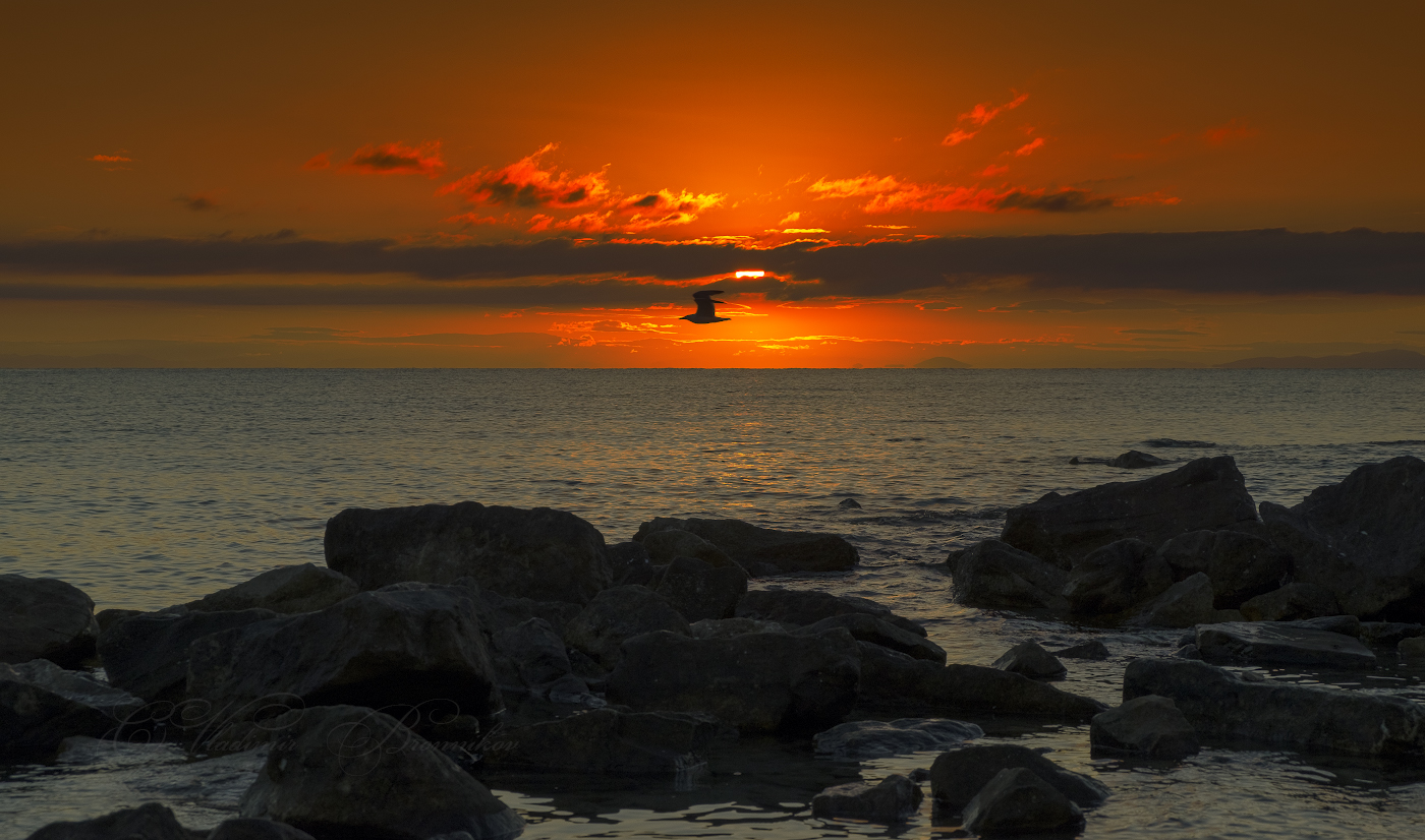 Рассветный полёт