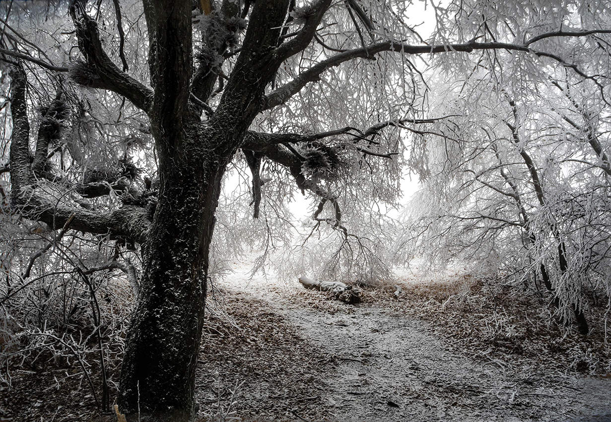 память о Зиме.