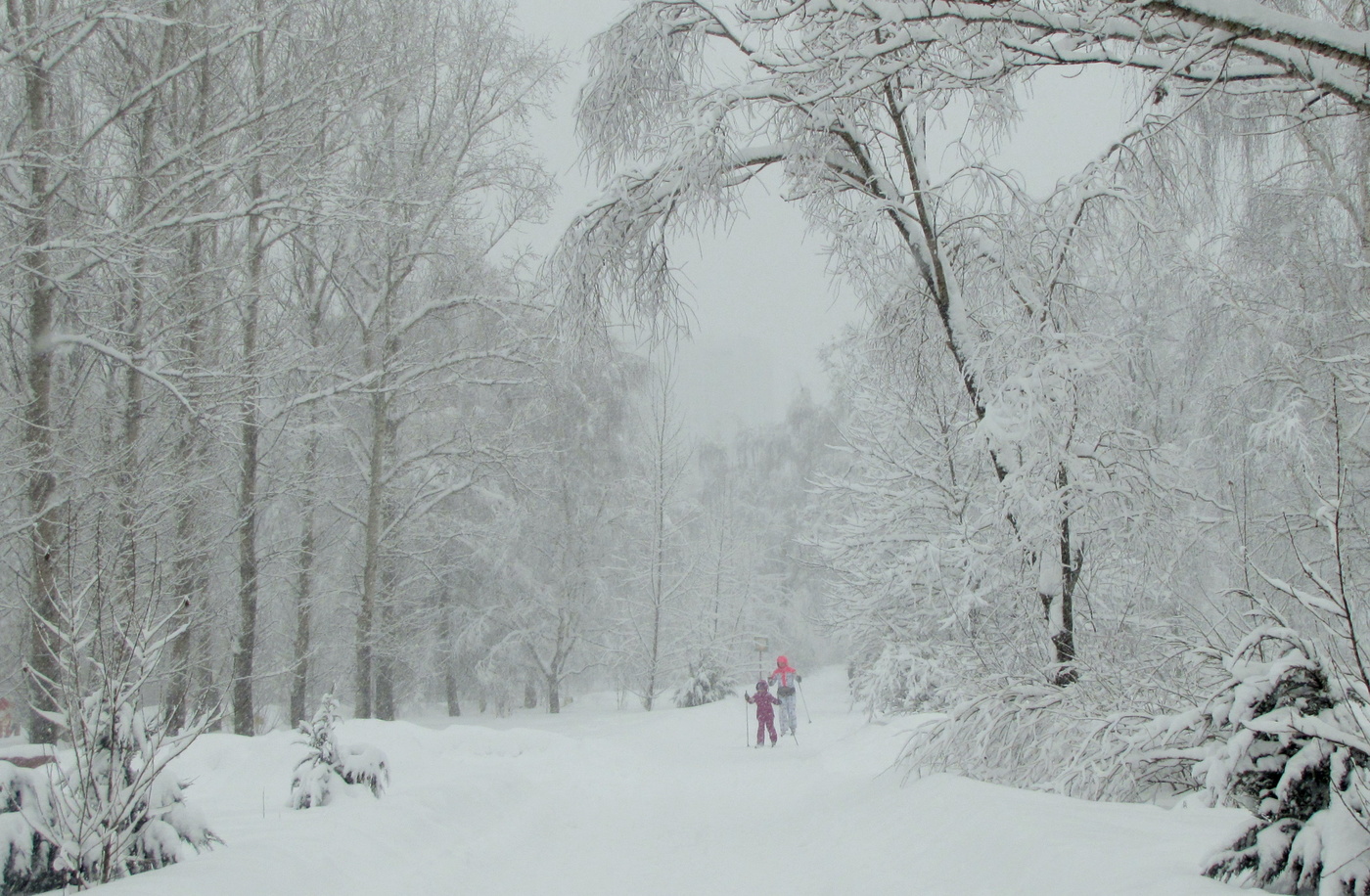 В метель-на лыжню!