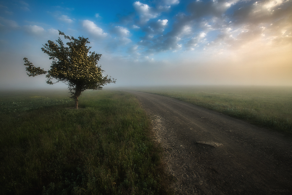 Дорога куда-то