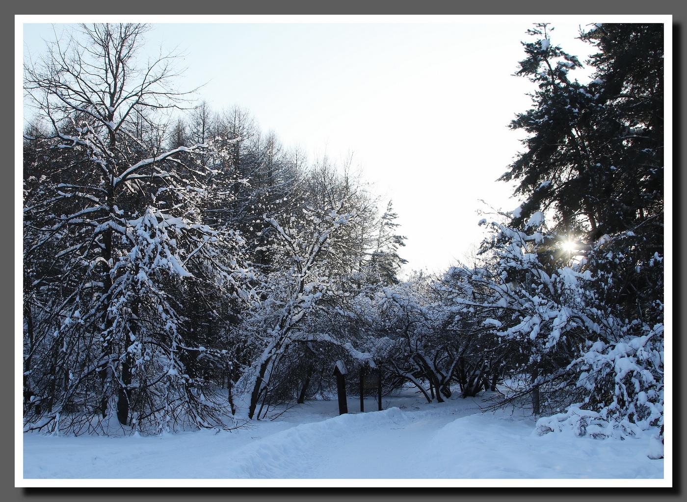 Зимний этюд 1