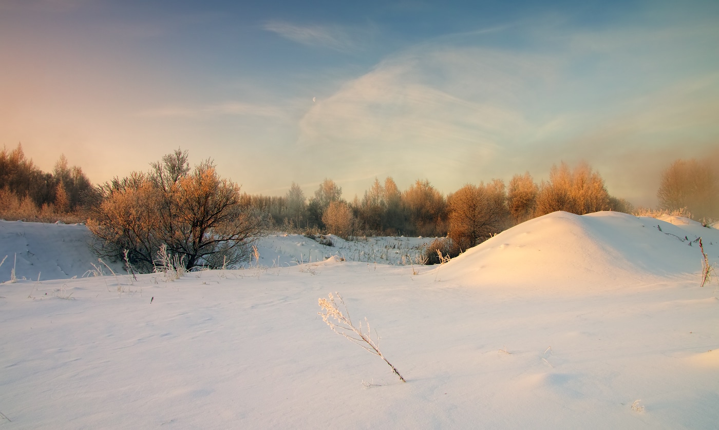 Морозная нежность