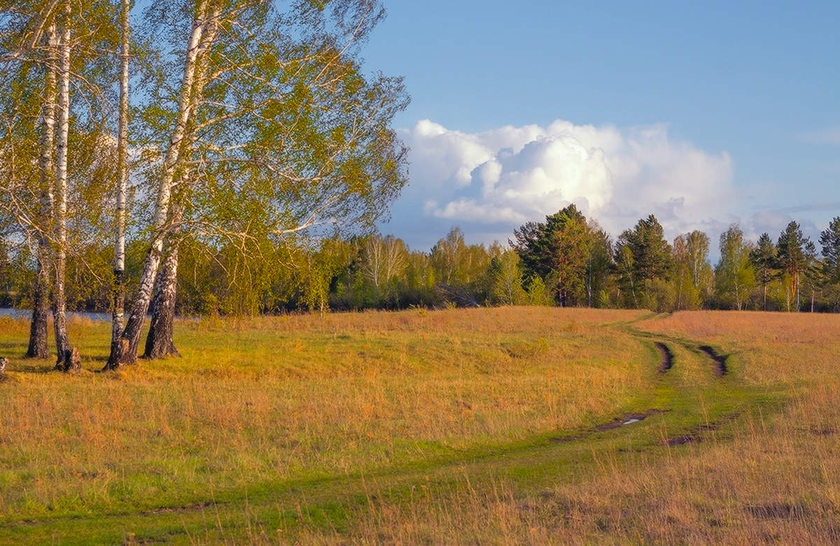 Тёплый день весны