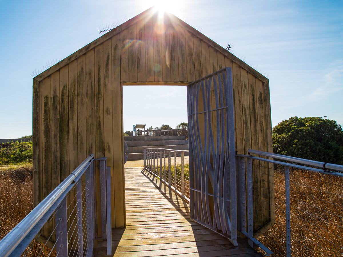Дверь в никуда