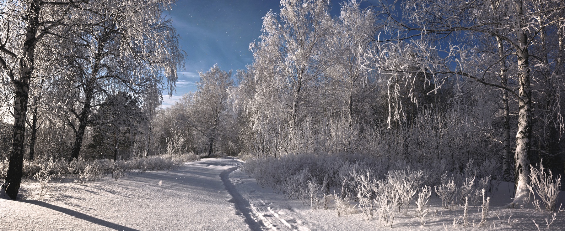 Зимний день.