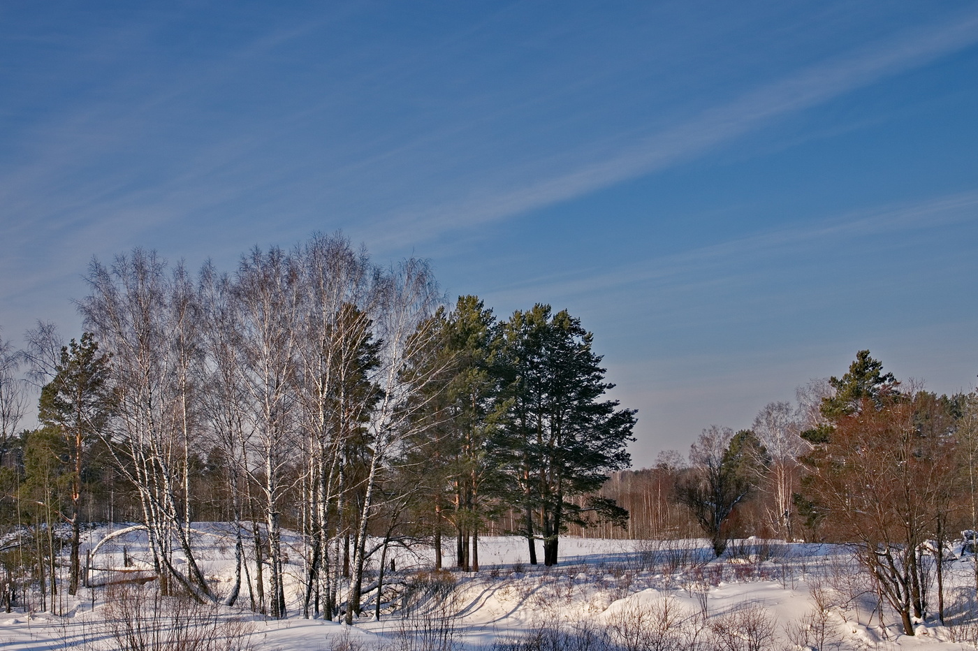ЗИМНИЙ ДЕНЬ