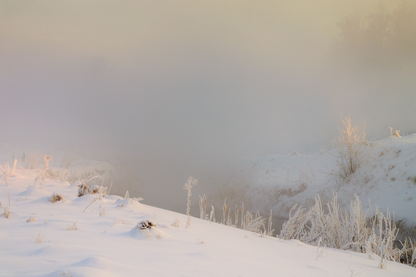Молочная река-молочный туман