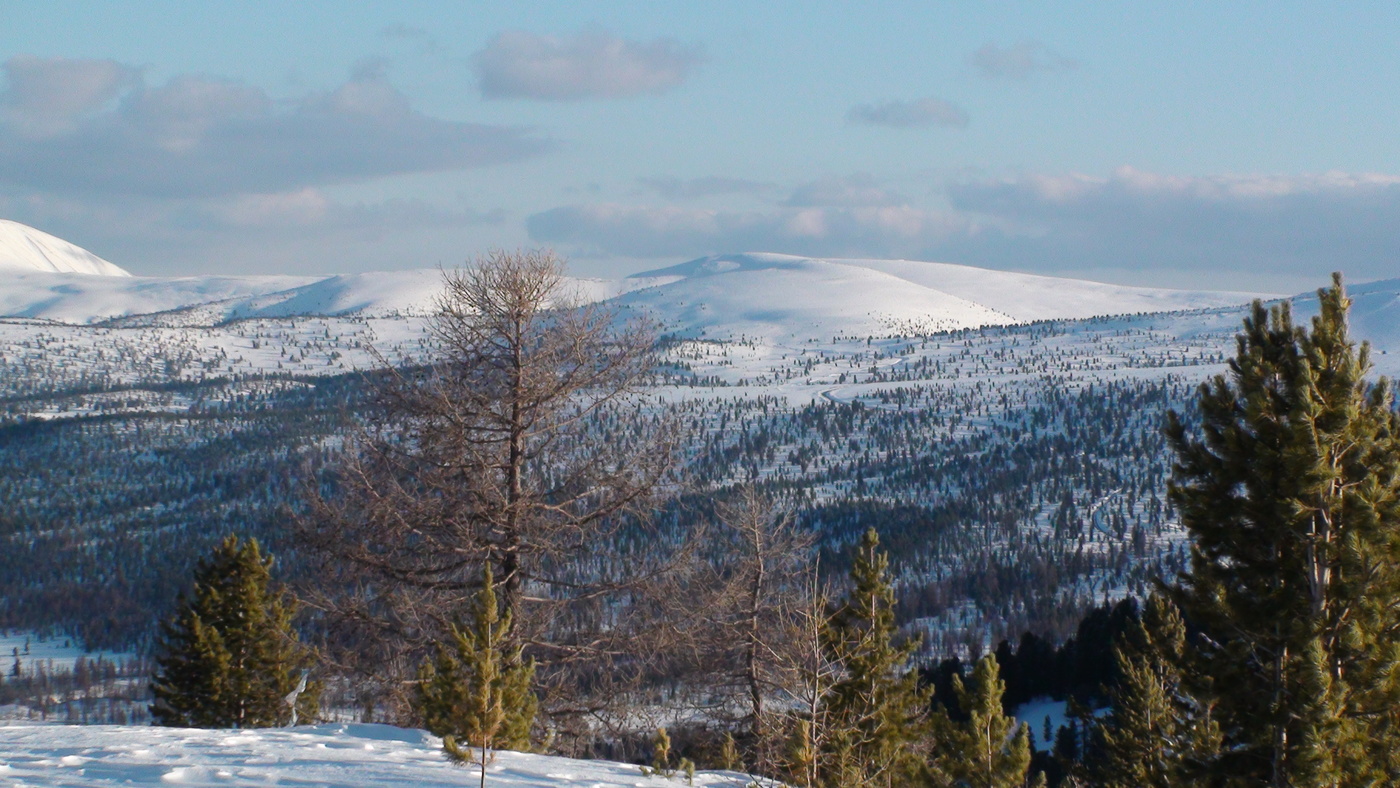 Долгая зима II