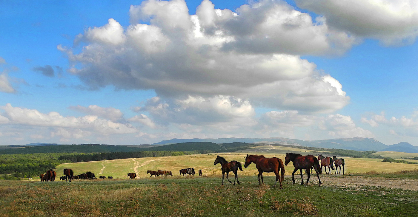 Наши просторы.