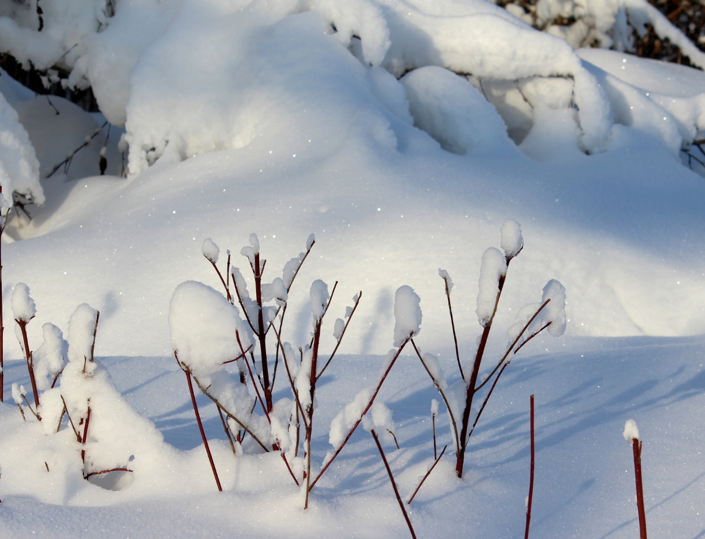 Сугробы разные!