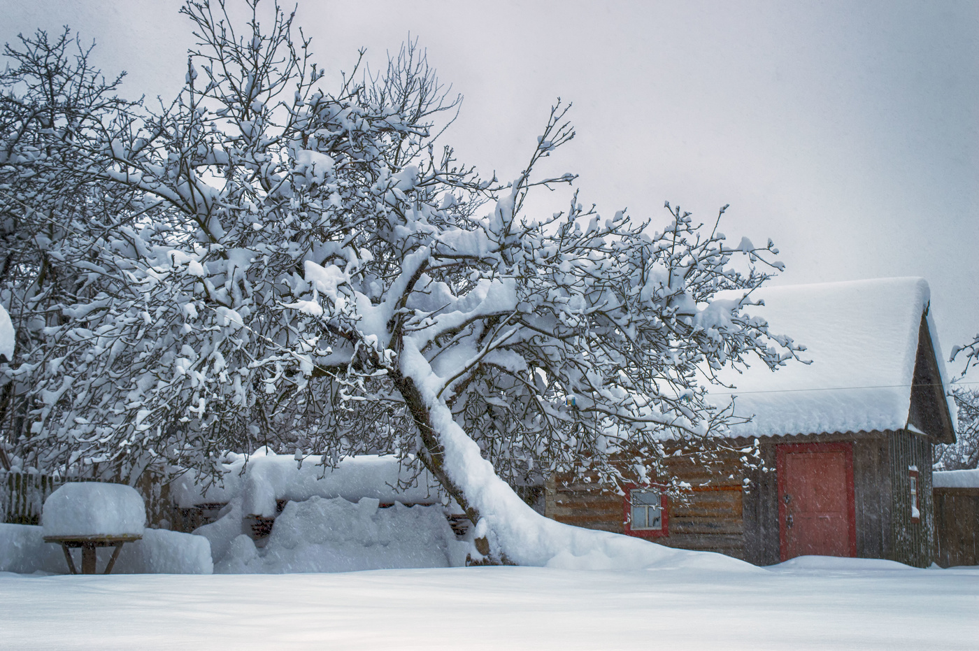 Сугробная жизнь