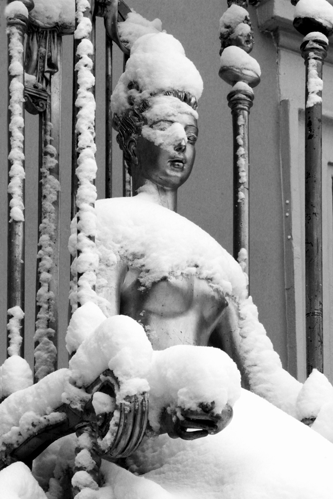 Сугробная жизнь