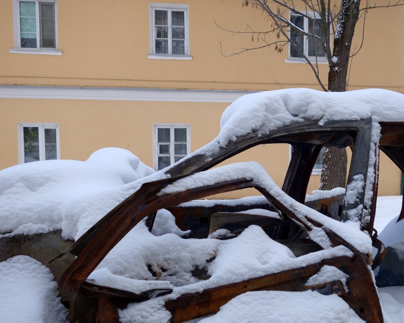 Сугробная жизнь