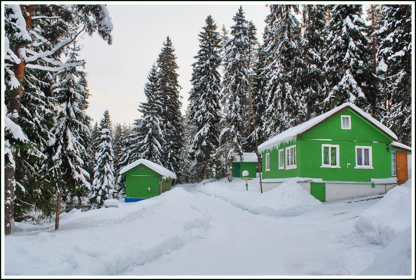 Сугробная жизнь