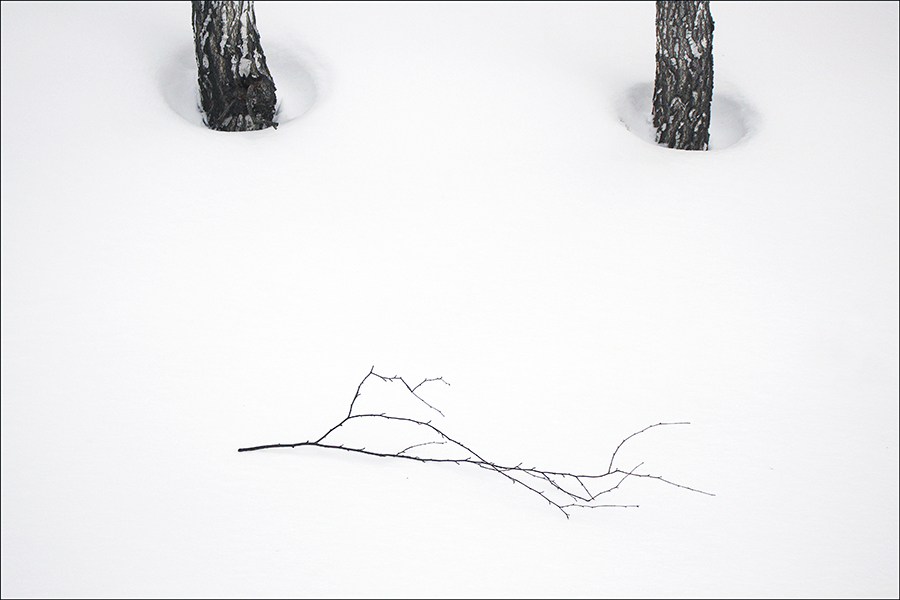 Сугробная жизнь