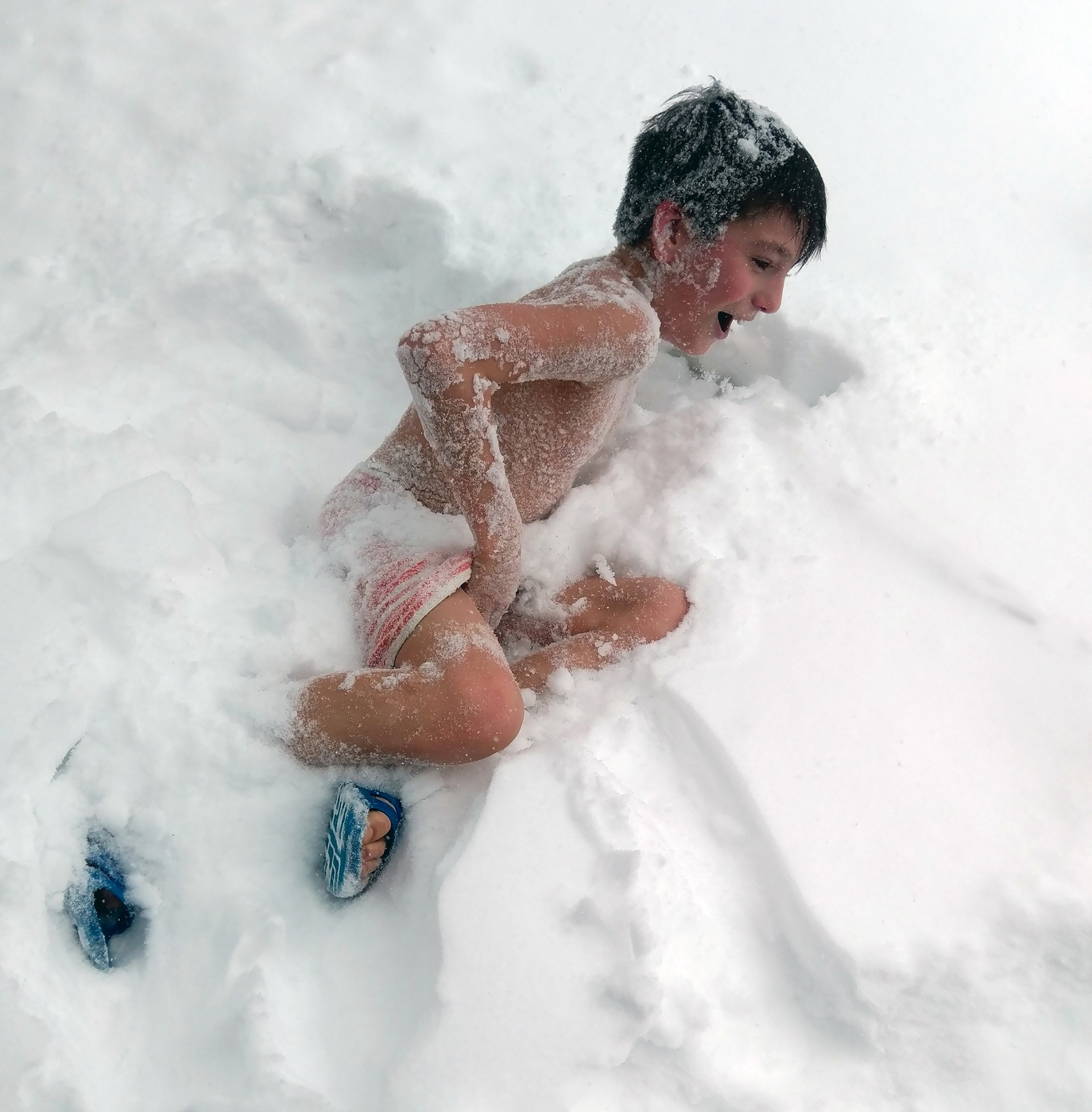 Сугробная жизнь