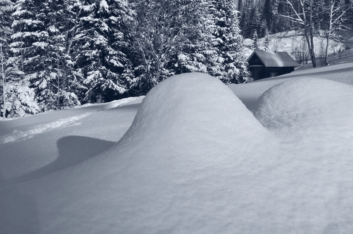 Сугробная жизнь