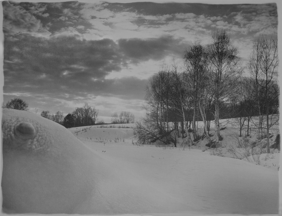 Сугробная жизнь