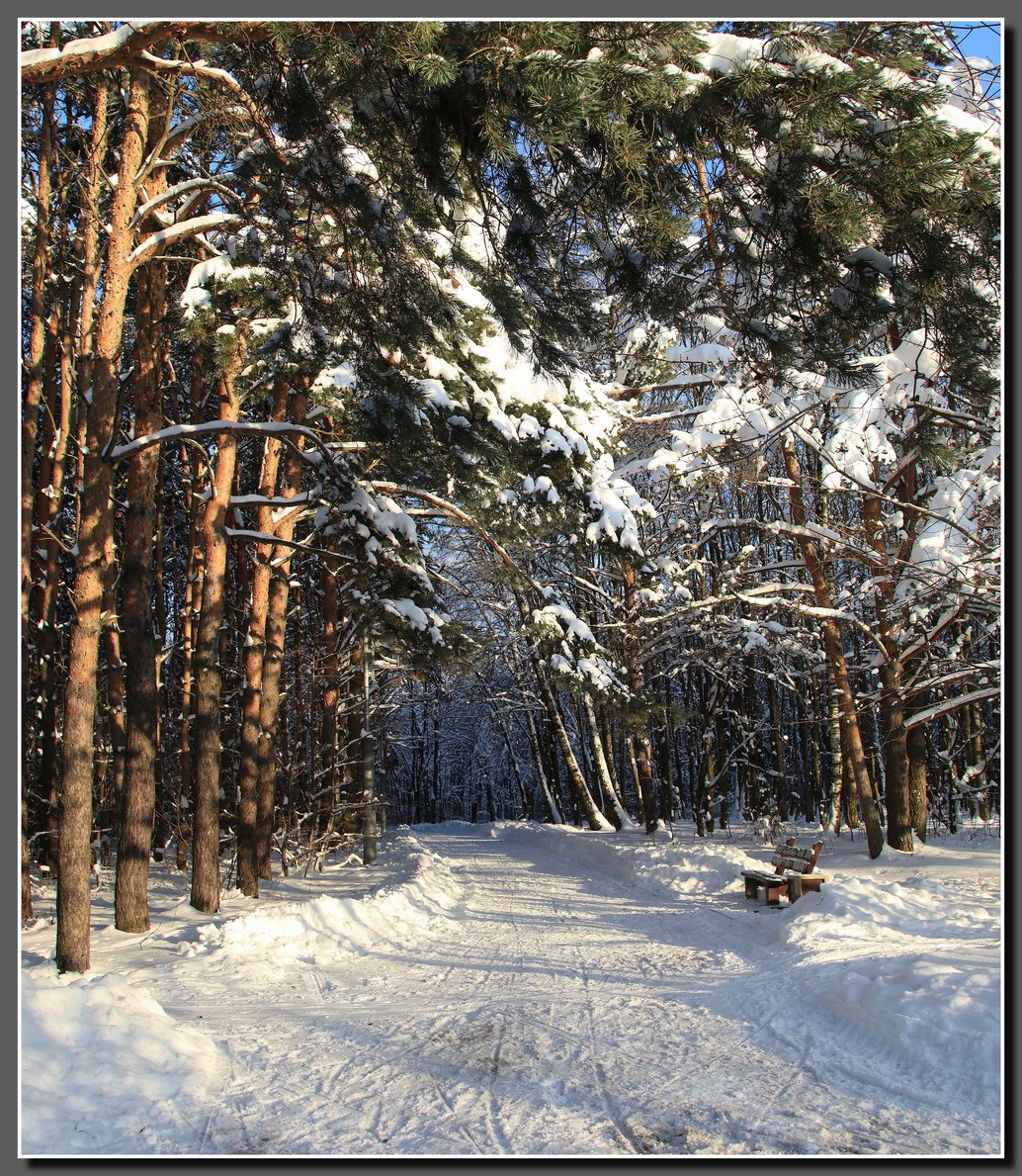 Зимний этюд 3