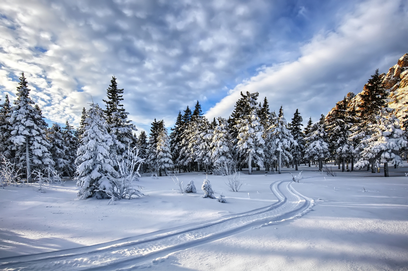 Зимняя дорога