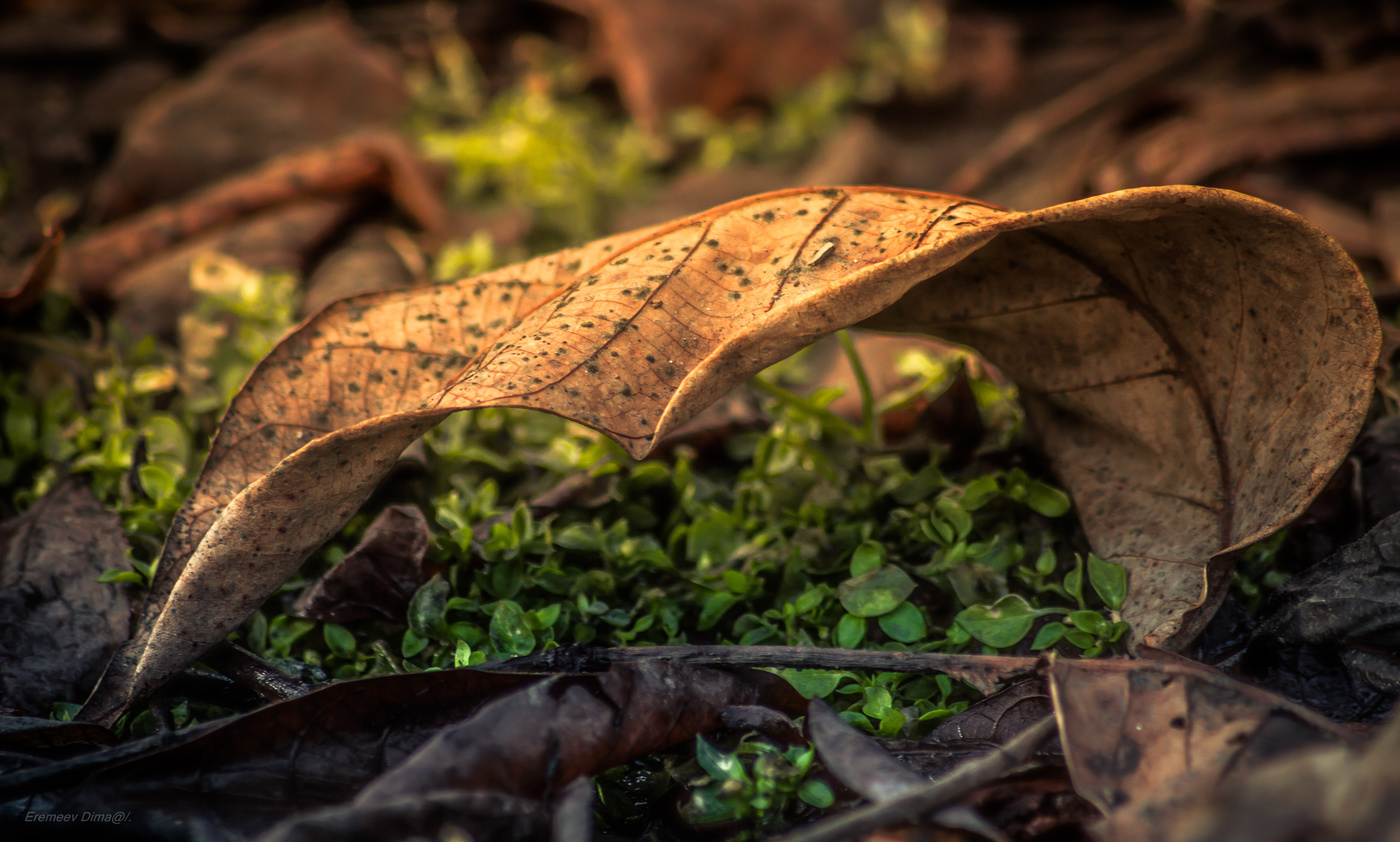 Перед началом весны...
