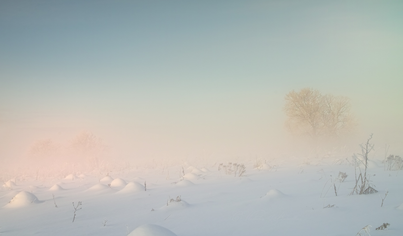 Туманная нежность рассвета