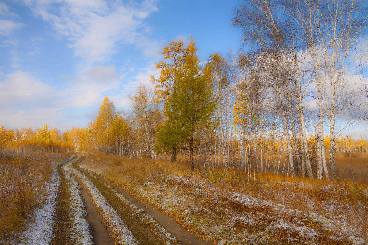 Краса сентября