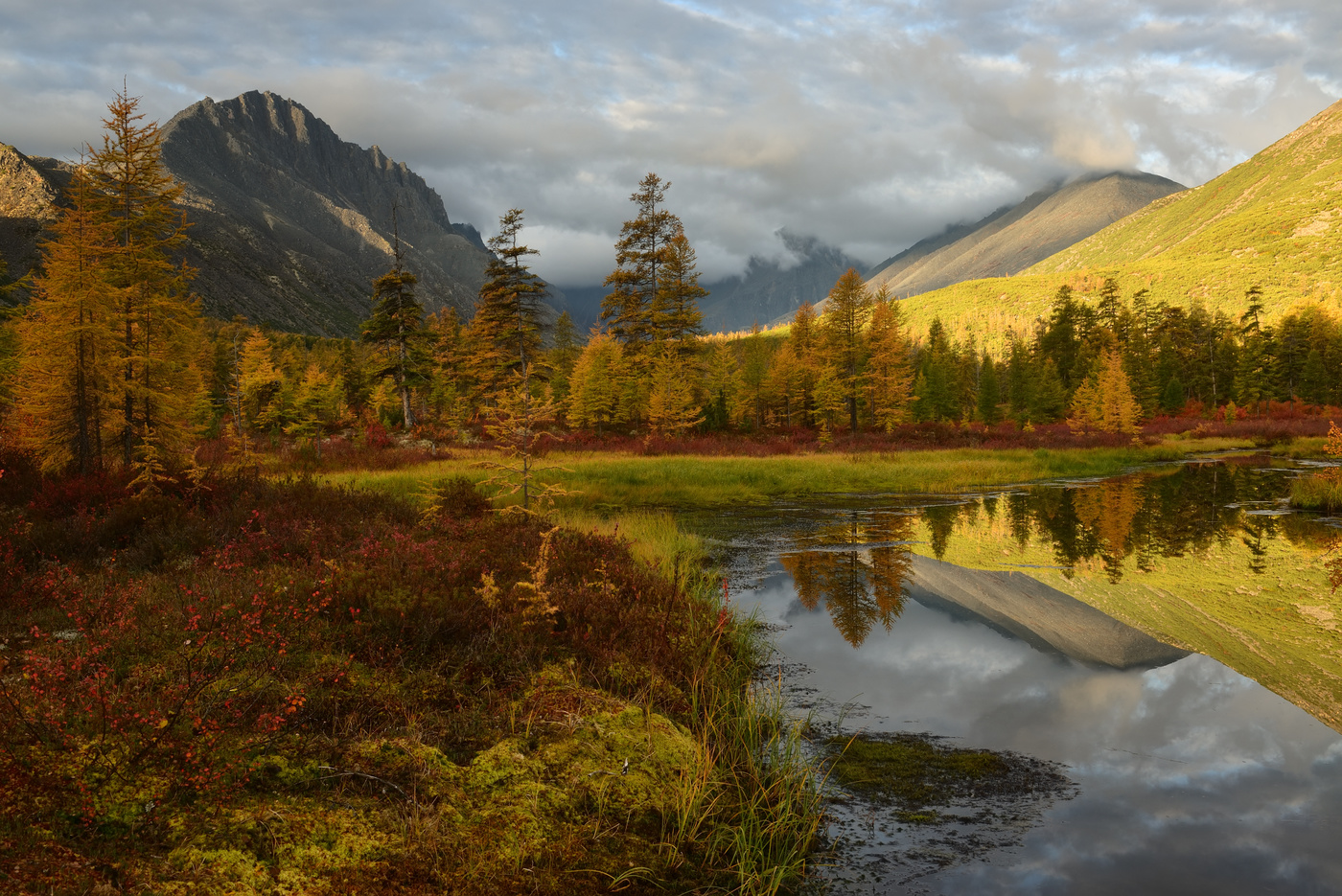 Ручей Неведомый...