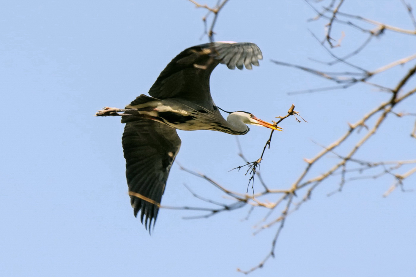 Транспортировка стройматериалов