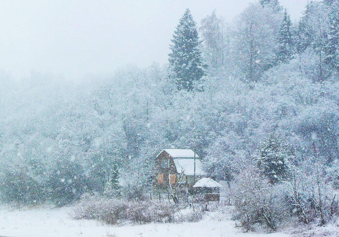 "Ель, словно свечка, - у окна ..."