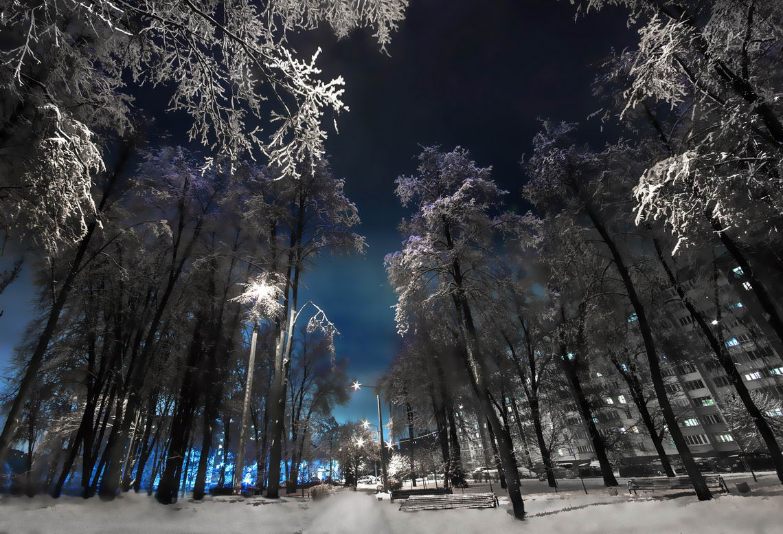 Зимний сквер в городе