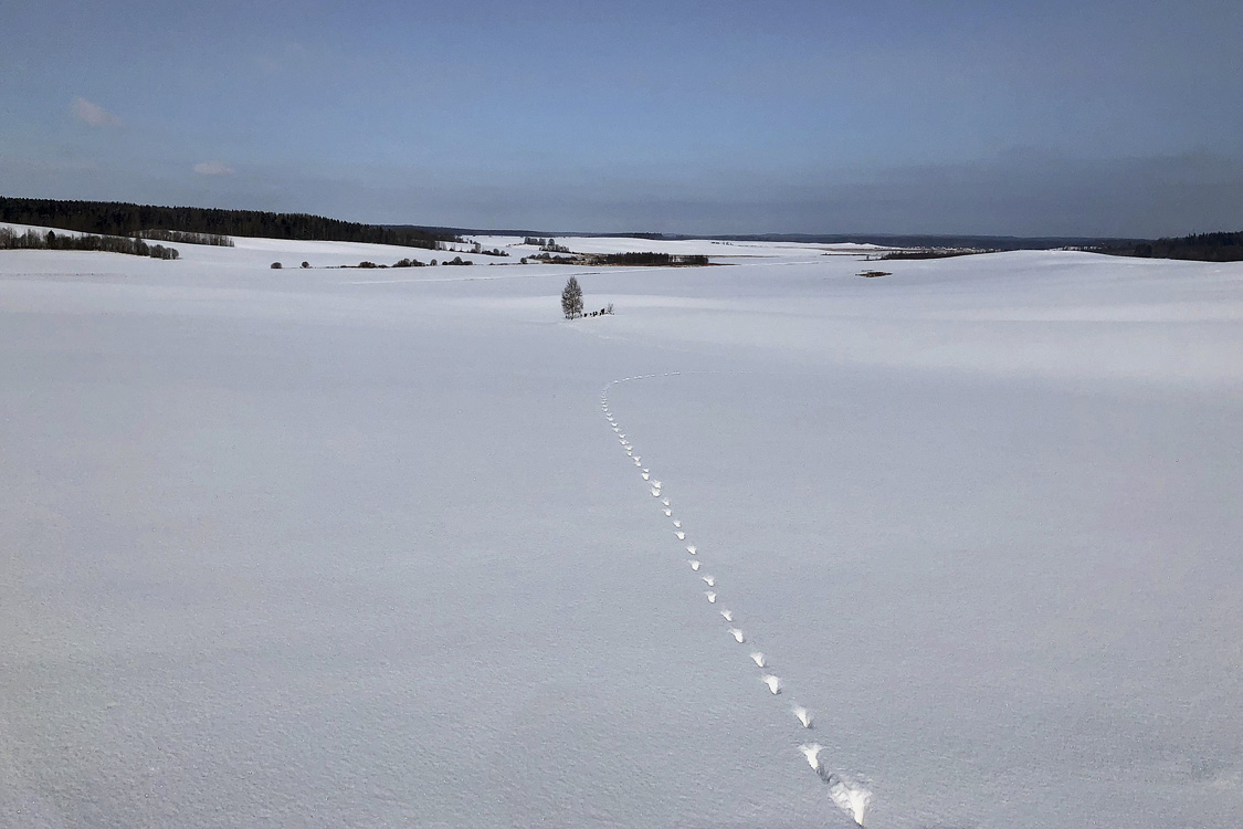 Солнечный день