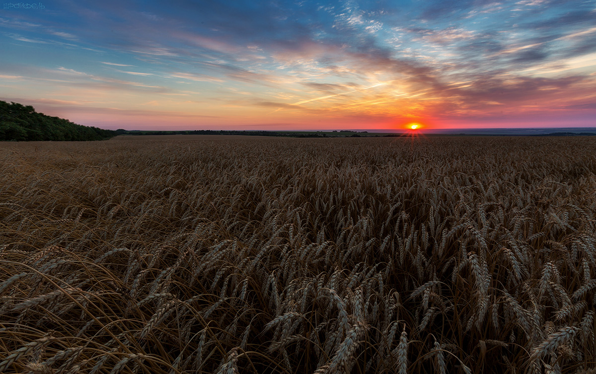 Запах хлеба