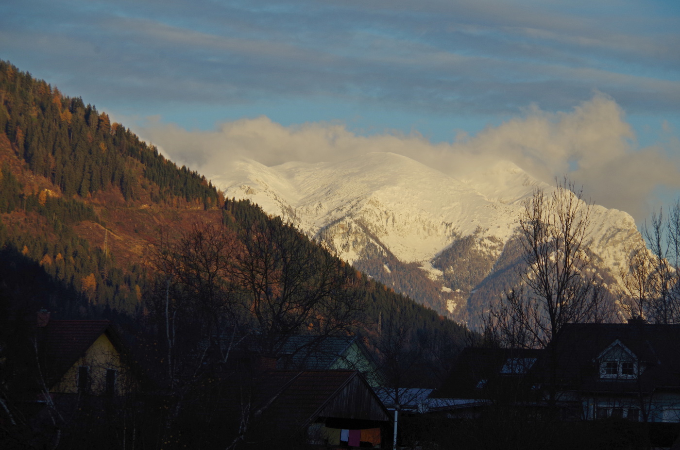 В утренних лучах