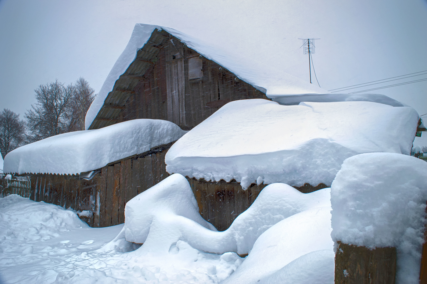 Зима, зимушка, зима!