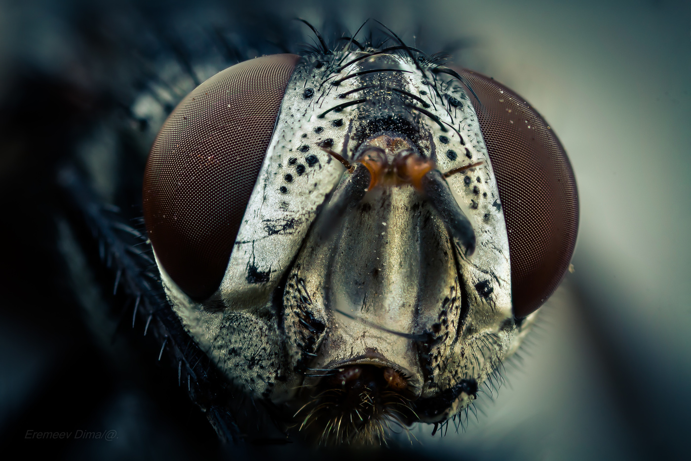 Чёрный монстр...