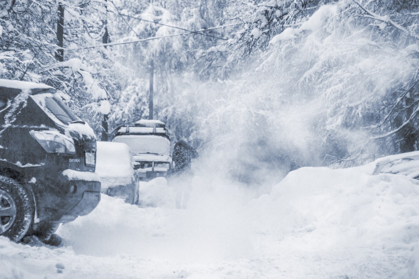 Зима не сдаётся