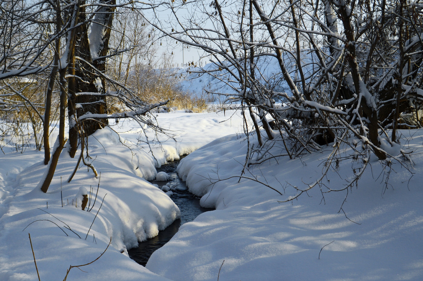 весна пришла