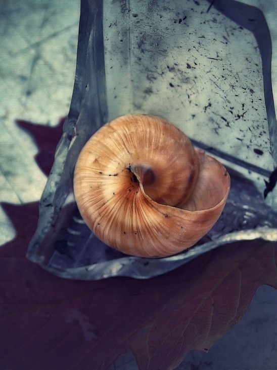 море вокруг