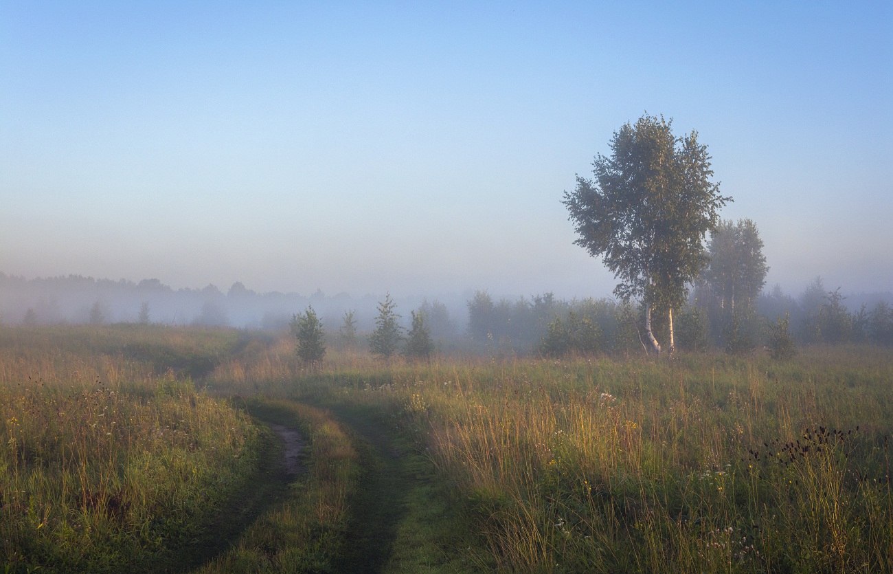 Летним утром.