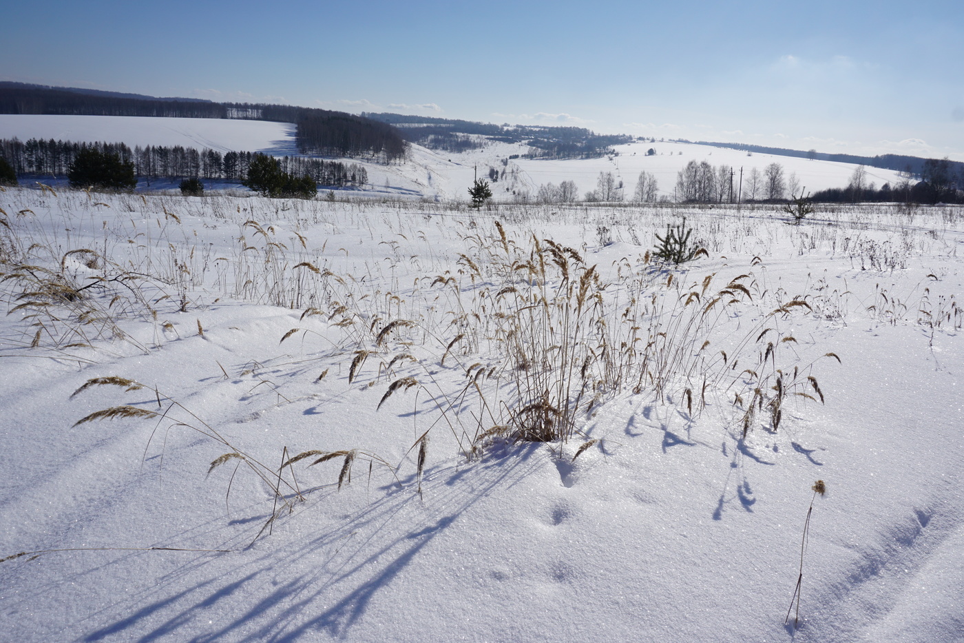 Пейзаж февраля.